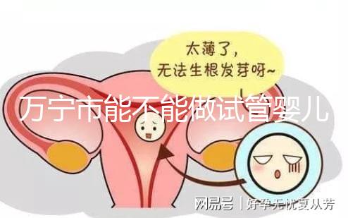 萬寧市能不能做試管嬰兒？姐妹們都去哪里做試管？