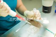 三代條件限制嚴!盤點國內(nèi)為什么限制三代試管嬰兒?