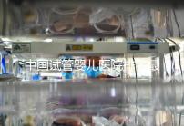 中國試管嬰兒醫(yī)院排名最好的醫(yī)院，包含國內(nèi)外