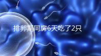 排卵期同房6天吃了2只螃蟹怎么辦戳，對著床影響大要早知