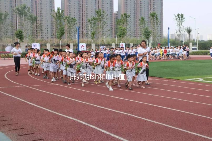 排卵期fsh和lh比值對照參考表速覽，大于2小于3真不正常