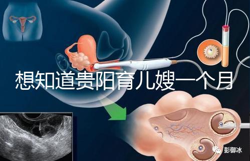 想知道貴陽育兒嫂一個月戳多少錢，云巖2萬夠不夠