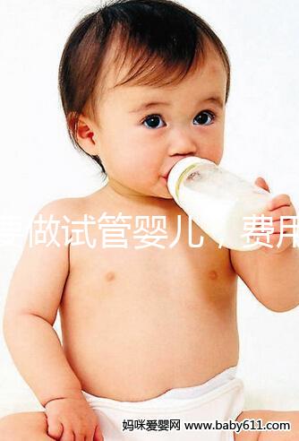 想要做試管嬰兒，費用預算大概是多少？