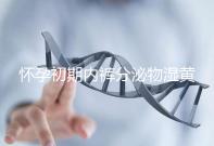 懷孕初期內(nèi)褲分泌物濕黃是男孩!5大原因?yàn)槟憬议_(kāi)背后真相