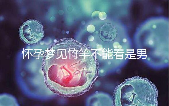 懷孕夢見竹竿不能看是男孩or女孩，解讀胎夢預兆別太主觀