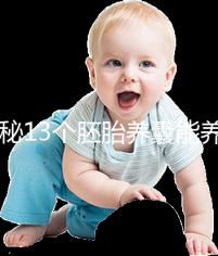 揭秘13個(gè)胚胎養(yǎng)囊能養(yǎng)成幾個(gè)，別以為6個(gè)著床幾率就高