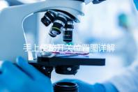 手上便秘開關(guān)位置圖詳解,孕婦想一按就拉請(qǐng)找準(zhǔn)手指再掐