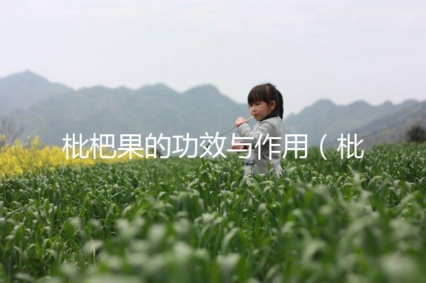 枇杷果的功效與作用(枇杷果的功效與作用及副作用)