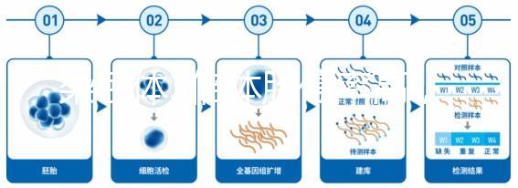 染色體3倍體胎停率高,治療首選三代試管