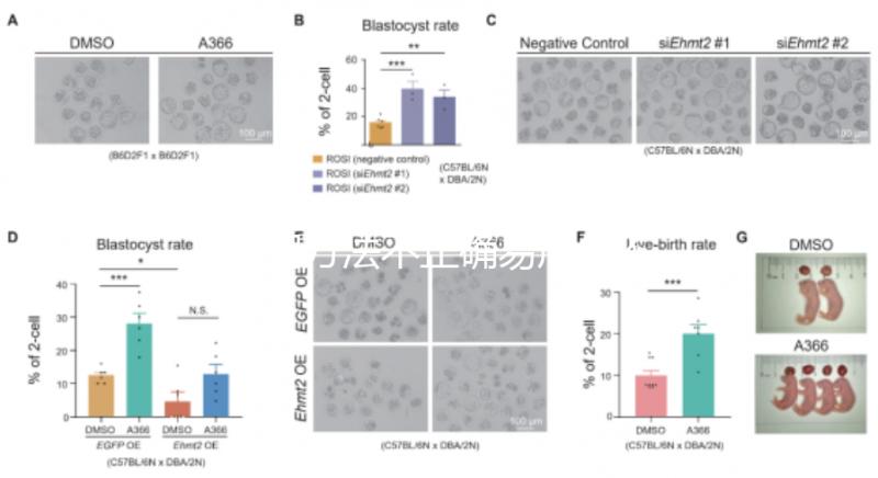 服用方法不正確易產(chǎn)生不良反應(yīng)?利維愛的副作用解析