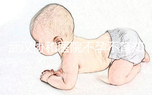 武漢協(xié)和醫(yī)院不孕不育知名專家推薦,內含掛號流程供參考