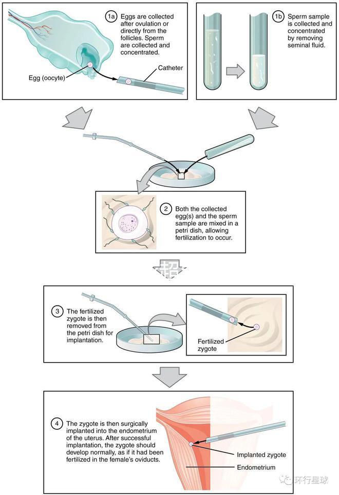 武漢四維彩超費用表整理,內(nèi)附市婦保院超全預(yù)約攻略