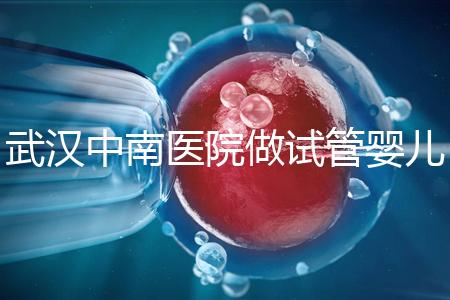 武漢中南醫(yī)院做試管嬰兒需要多少錢:2025年這些試管收費(fèi)有變動(dòng)