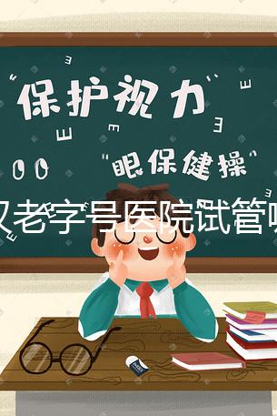 武漢老字號(hào)醫(yī)院試管哪個(gè)醫(yī)生好？2025助孕成功率高的大夫參考