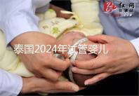 泰國2024年試管嬰兒攻略索引:證書,結(jié)婚證是硬條件