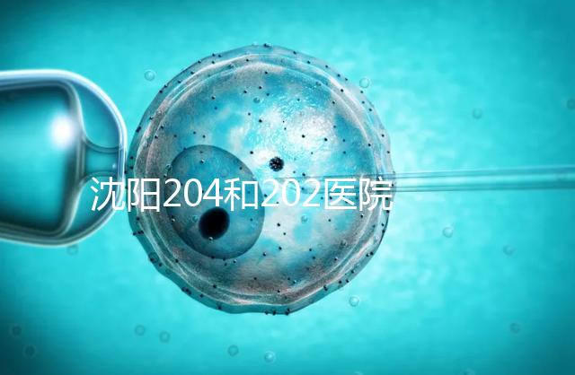 沈陽204和202醫院哪個好?東港市做過試管嬰兒的姐妹這樣說