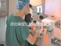 河北保定三胎政策最新消息2024,不造補(bǔ)貼怎么申請(qǐng)看過來