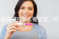 沒有子宮怎么要寶寶，可以做試管嬰兒嗎？