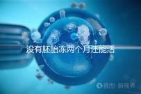 沒有胚胎凍兩個月還能活著嗎?60s會告訴你怎么樣?