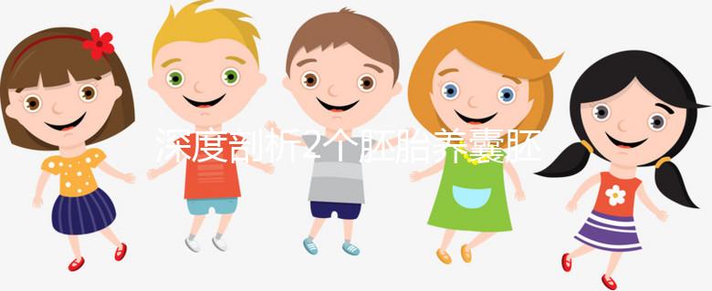 深度剖析2個(gè)胚胎養(yǎng)囊胚的成功率,可以養(yǎng)成幾個(gè)一目了然