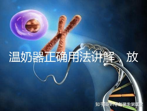 溫奶器正確用法講解,放的時(shí)間太久小心變成“毒奶”