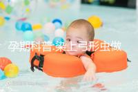 孕期科普:染上弓形蟲做試管嬰兒影響大,需先治療再移植