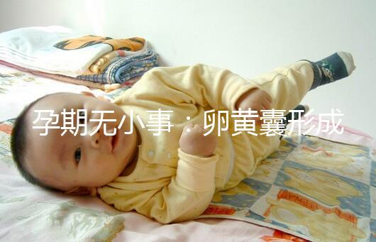 孕期無小事:卵黃囊形成到胎芽出現時間早了解早放心