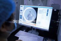 孕婦夢見蝙蝠并非一定為壞事!相關胎夢含義解讀