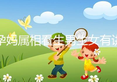 孕媽屬相看生男生女有講究,方法沒找對測試結果有誤差