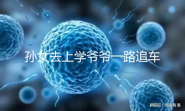 孫女去上學爺爺一路追車告別，網友：上了年紀淚點更低了