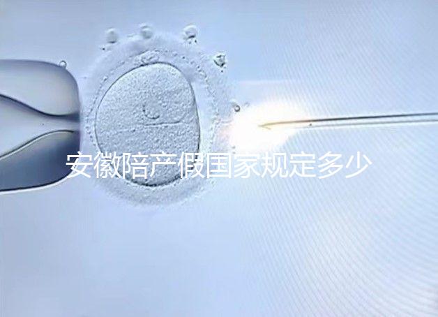 安徽陪產(chǎn)假?lài)?guó)家規(guī)定多少天更新,2024淮南何時(shí)開(kāi)始執(zhí)行戳