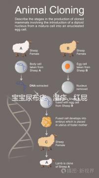 寶寶尿布疹、濕疹、紅屁股傻傻分不清？4點區別輕松診斷