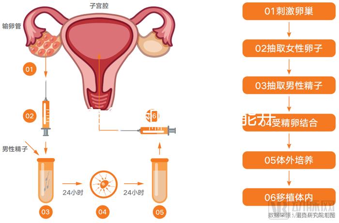 寶寶金水和花露水不能并為一談,兩者有著這2大區別