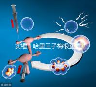 實錘!哈里王子梅根正式公布寶寶名字:阿爾奇·哈里森