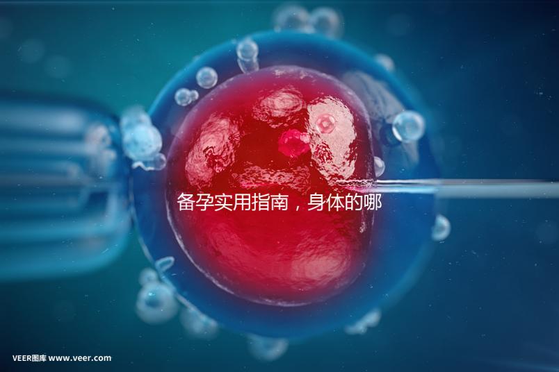 備孕實(shí)用指南,身體的哪些感覺(jué)提示正在排卵?