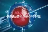 失獨后借卵生子好不好別還不造,供卵or領養過來人感受更深