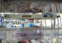 女人打胎后的風水忌諱速來觀看，破解方法或能起關鍵作用