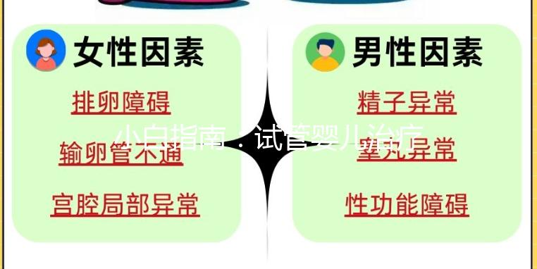 小白指南:試管嬰兒治療五步,檢查促排 胚胎培養