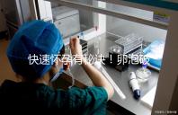 快速懷孕有秘訣!卵泡破裂后多久同房是關鍵