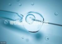 帶你走進(jìn)xy染色體的世界,生男生女其實就這么回事