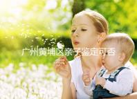 廣州黃埔區親子鑒定可否直接上戶口,看完2024政策就明了