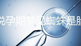 都說(shuō)孕期夢(mèng)見蜘蛛是胎夢(mèng),咬人、爬身上意思都不同快收藏