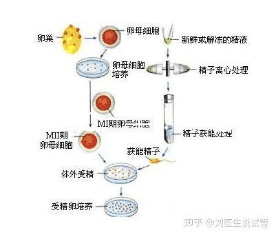 選對成功一半!來看看海南哪家醫院能做三代試管嬰兒
