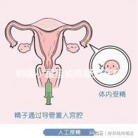 韓國小童星威廉疑似在校被霸凌?父親Sam辟謠:凹高冷人設(shè)