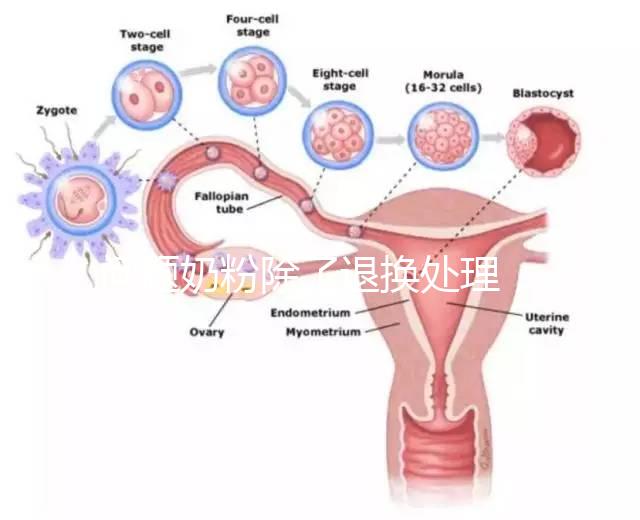 問題奶粉除了退換處理，還可要求十倍標準的賠償金