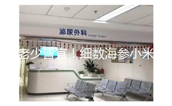 老少皆宜!細數(shù)海參小米粥常見的6大功效