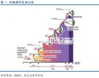 肝火旺怎么調(diào)理?掌握這4種方法降火更簡(jiǎn)單