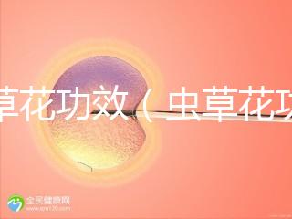 蟲(chóng)草花功效（蟲(chóng)草花功效作用與主治功能）