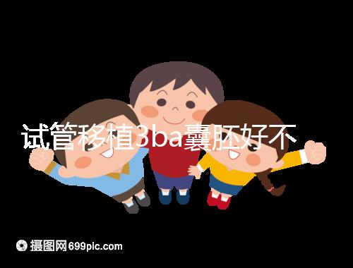 試管移植3ba囊胚好不好,3分鐘讀懂質量好壞和成功率