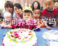 試管期間養蜘蛛好嗎？人們告訴你，這些影響應該早知道